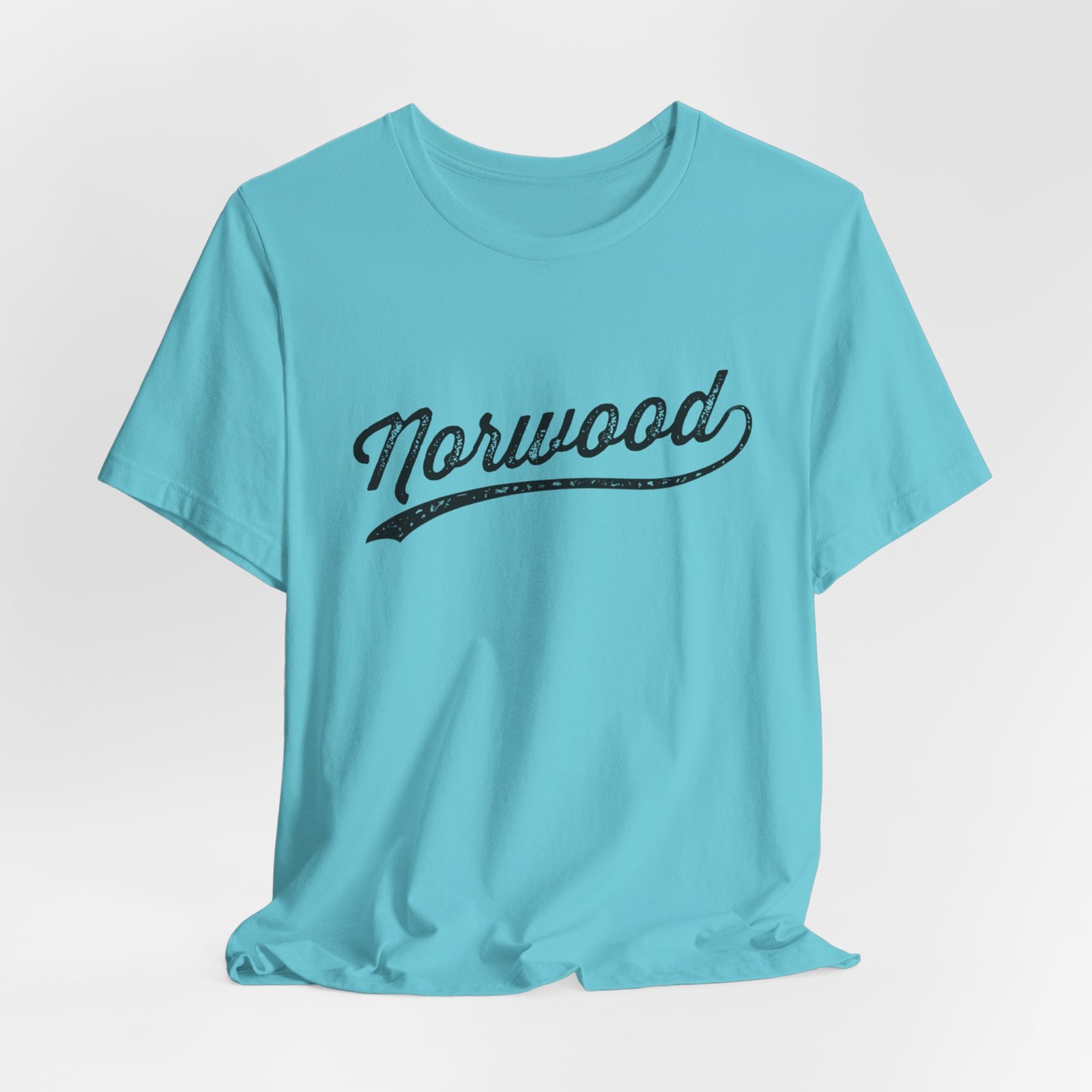 Vintage Norwood Bronx Vintage Tee - Image 12