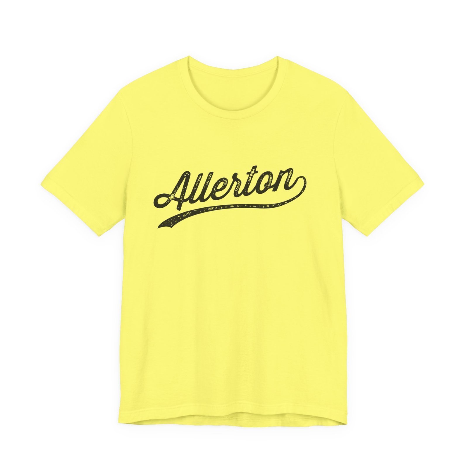Allerton Bronx Vintage Tee - Image 8