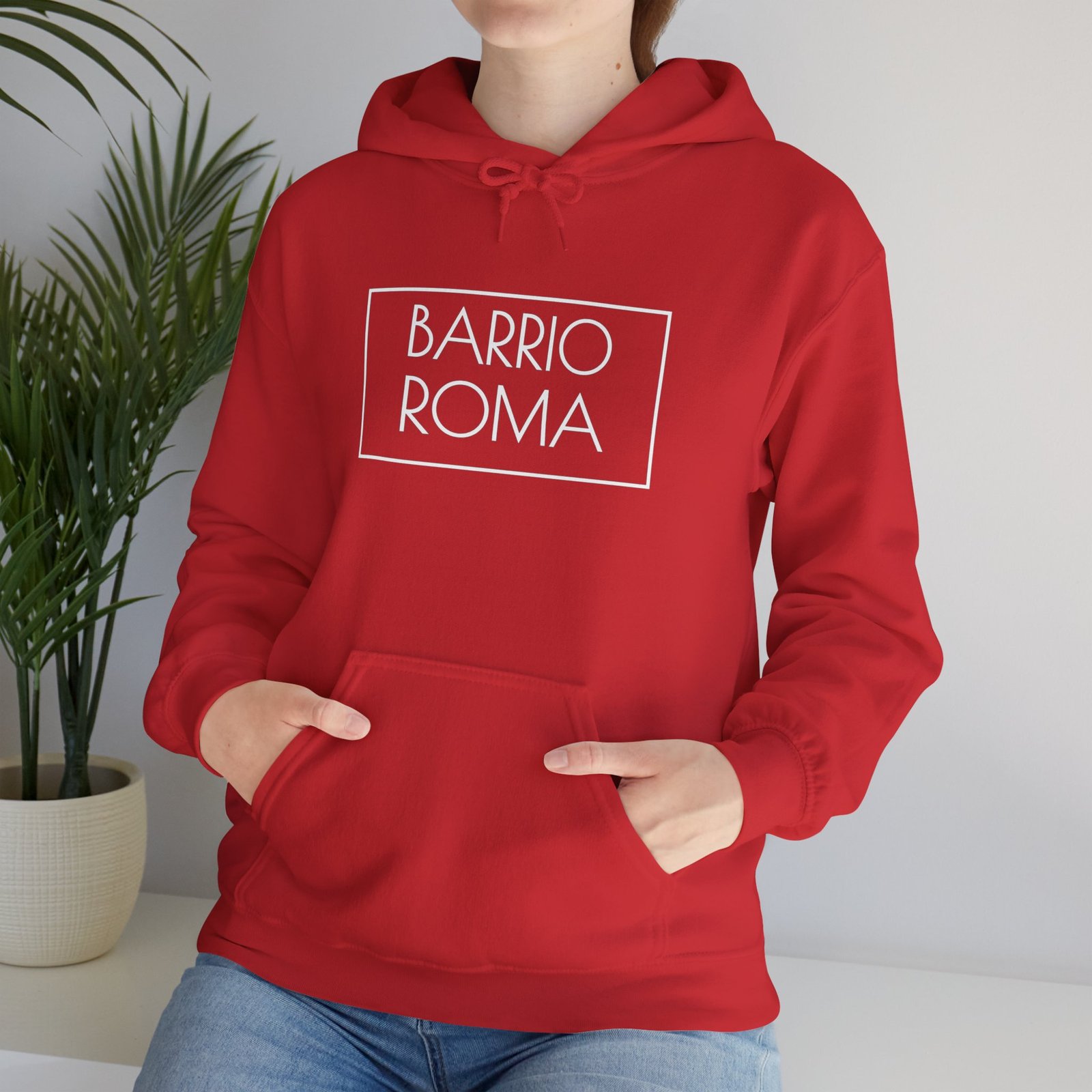 Barrio Roma Logo Hoodie, Ciudad de México Apparel, Urban Streetwear - Image 17