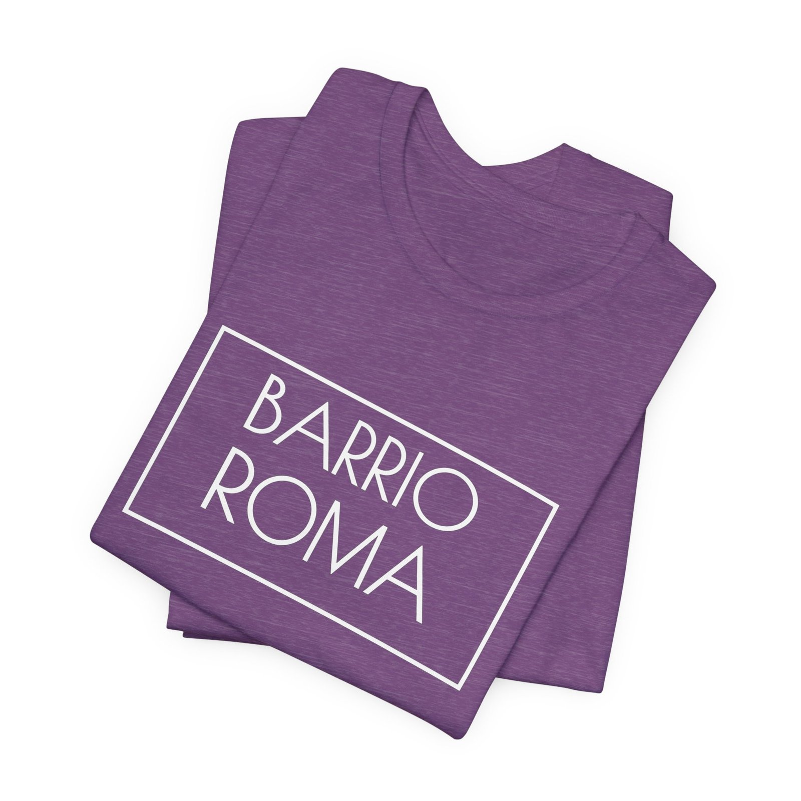 Barrio Roma Logo T-Shirt, Ciudad de México Apparel, CDMX Back Urban Streetwear - Image 4