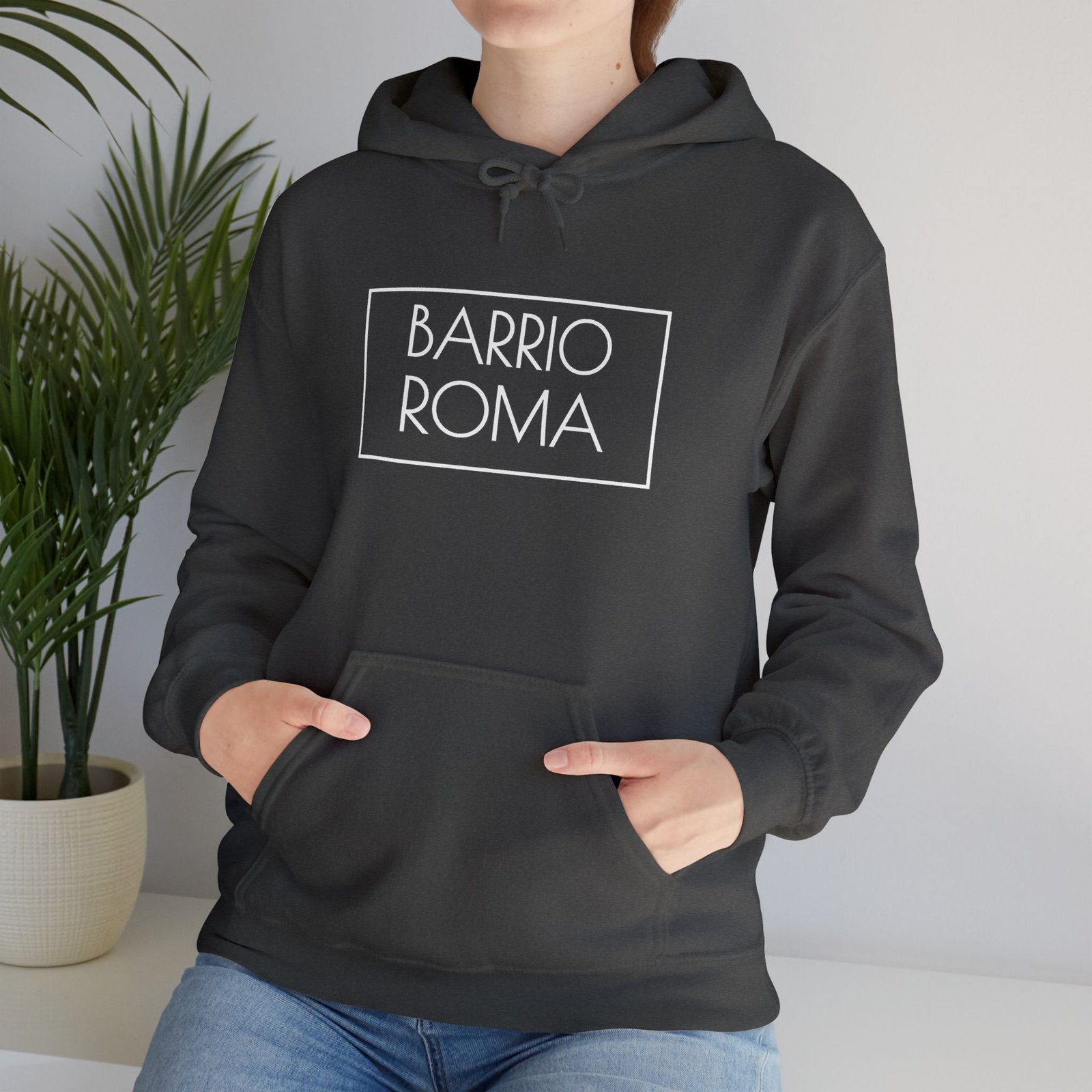 Barrio Roma Logo Hoodie, Ciudad de México Apparel, Urban Streetwear - Image 11