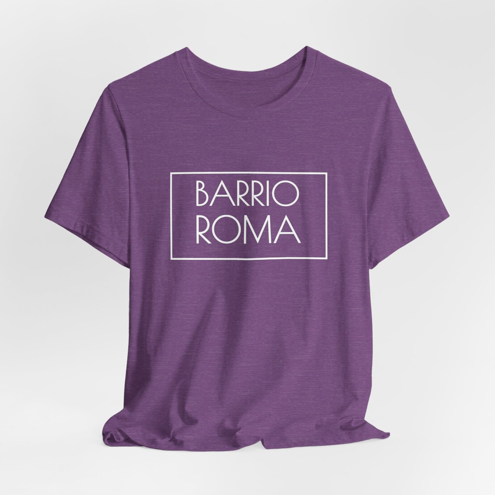 Barrio Roma Logo T-Shirt, Ciudad de México Apparel, CDMX Back Urban Streetwear - Image 5